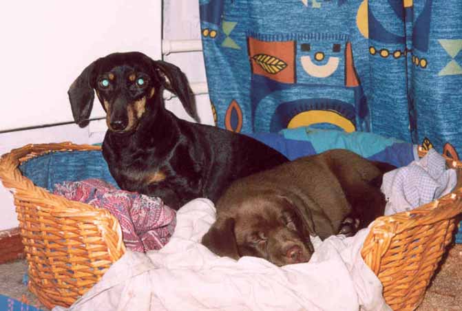 Эвис и Лори. март 2003г.